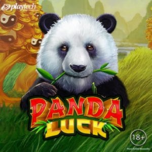 Panda Luck™ screenshot